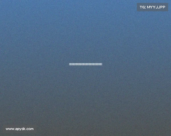 荷兰足球基金会助力退役球员成功转型与再就业探索